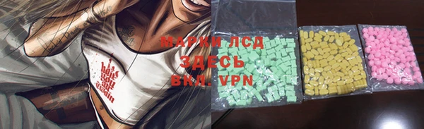 стафф Арсеньев