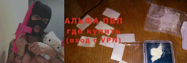 стафф Арсеньев