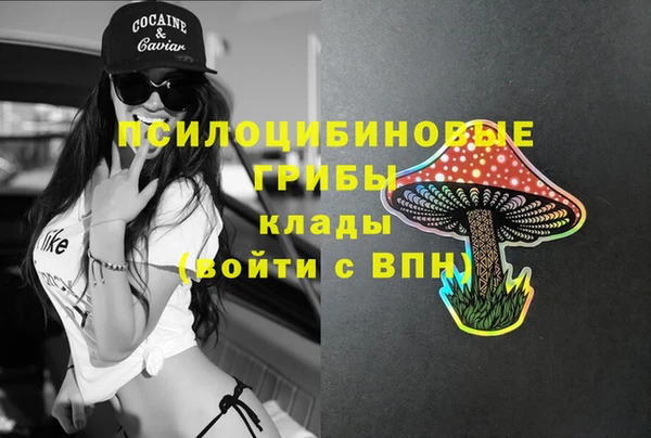 СК Аркадак