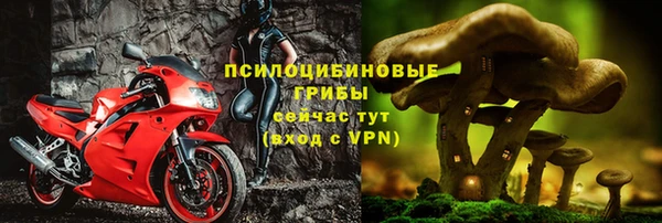 СК Аркадак