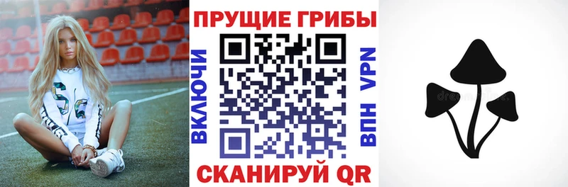 Галлюциногенные грибы прущие грибы  цена   МЕГА tor  Прохладный 